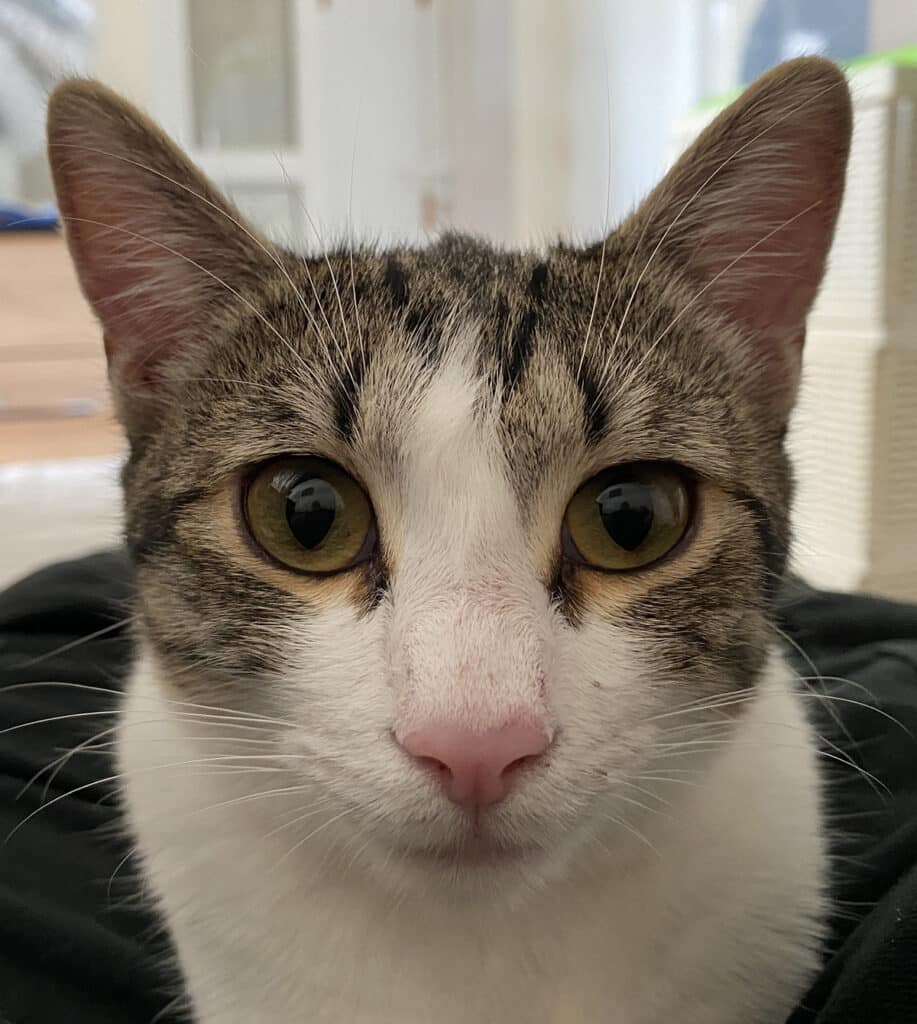 Lena