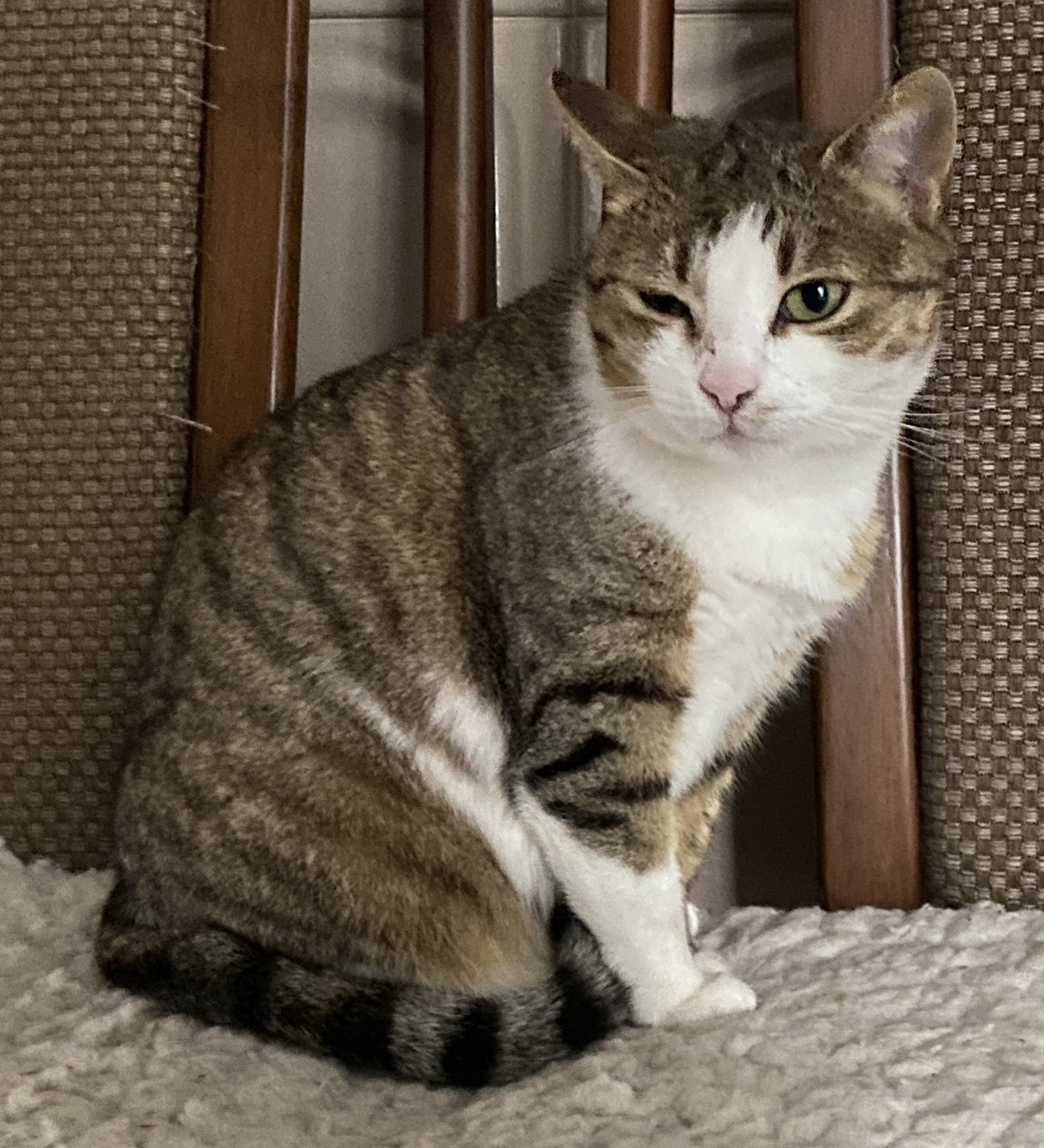 Lilia