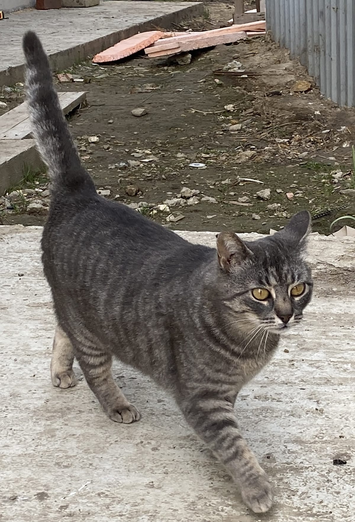 Nastassia